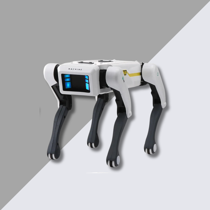 FetchBot™ Intelligent Robot Dog