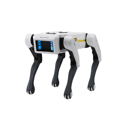 FetchBot™ Intelligent Robot Dog