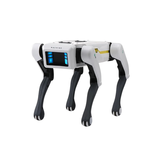 FetchBot™ Intelligent Robot Dog