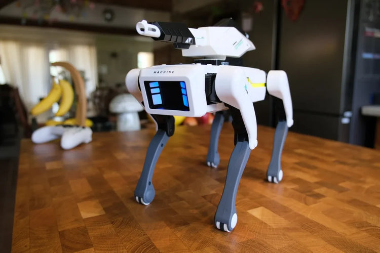 FetchBot™ Intelligent Robot Dog